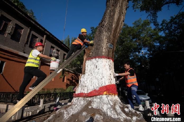 王毅强调,台湾从来不是一个国家,过去不是,今后更不是!“台独”从来不可能成事,过去不能,今后更绝无可能!台湾岛内谁想搞“台独”,就是分裂中国国土,必将受到历史和法律的严惩。国际上谁要违反一个中国原则,就是干涉中国内政、侵犯中国主权,必将遭到全体中国人民乃至国际社会的共同反对。