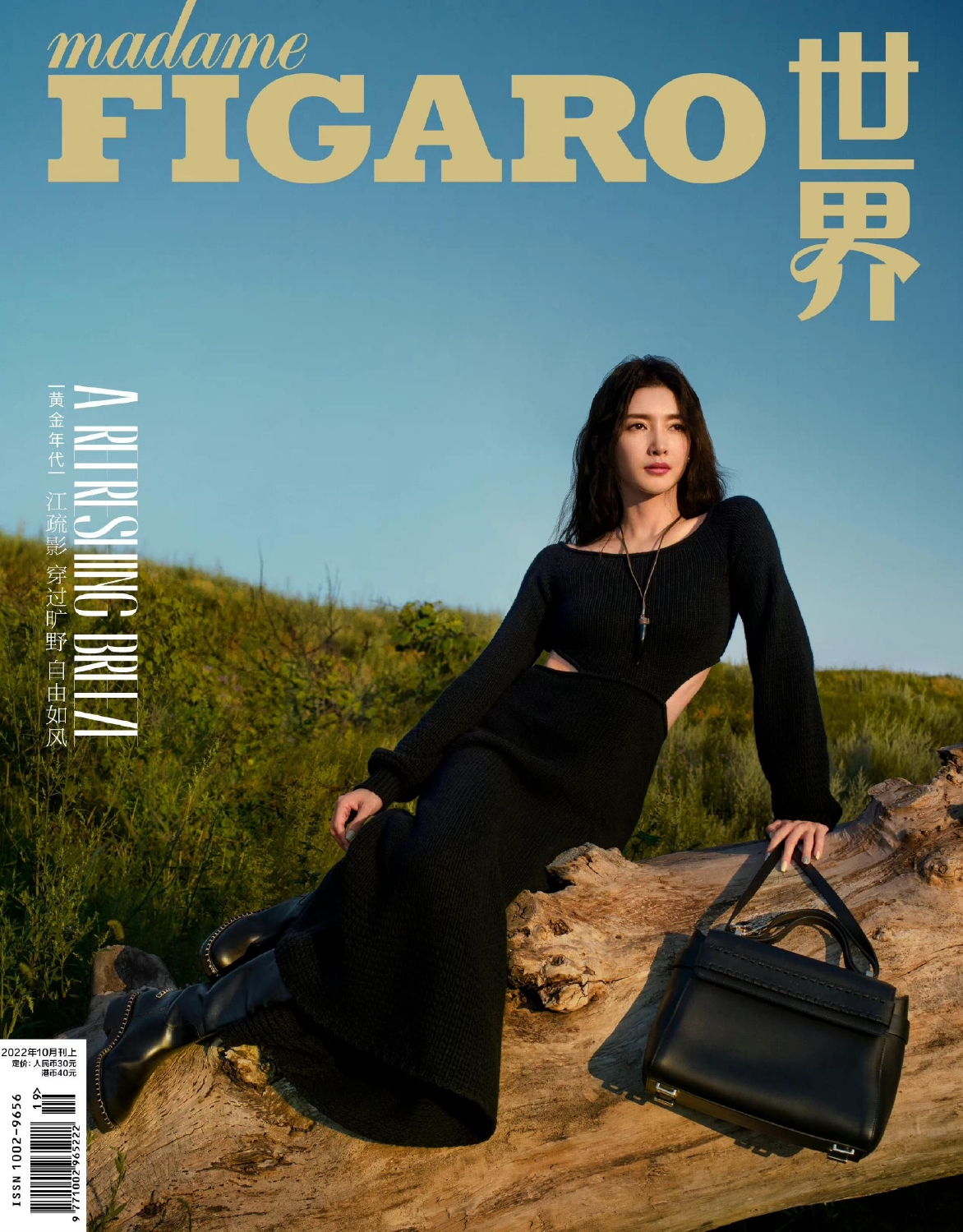 在他被查的前一年(2021年),已有两名他的老下属落马,分别是西藏自治区党委政法委原副秘书长李运峰,自治区公安厅原党委委员、副厅长赵涛。