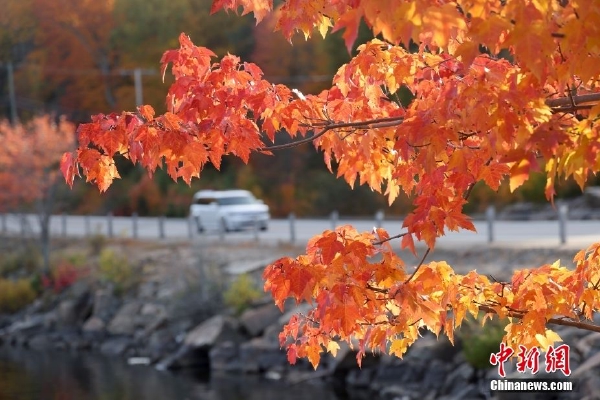 据“广州荔湾发布”微信公众号披露,1月5日,广州市荔湾区土地开发中心在石围塘征拆现场开出了全市第一张房票,标志着广州探索房票制工作迈出实质性的第一步。据悉,荔湾区土地开发中心以石围塘项目为试点,率先落地全市第一批“房票安置”。已发放的房票凭证载明房票类型、购房地址、票面金额、政策性奖励金额、使用/兑付期限等信息,可由本人或其直系亲属购买“定点入库”的新建商品房源。