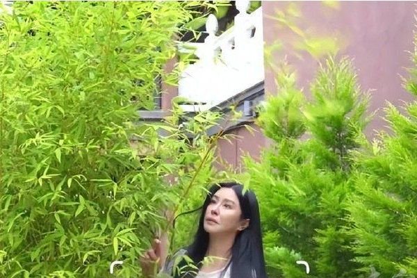 对此圈内分析人士其实存在不同观点——有了世预赛击败泰国的加持,扬科维奇应该可以通过亚洲杯更好遴选新人,为之后的世预赛更好地发现人才、储备人才。