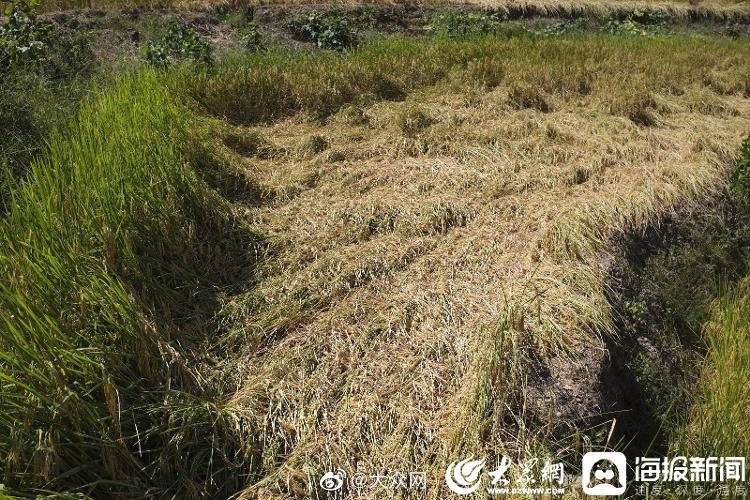 　　据《青海日报》报道，该省机构改革新成立青海省数据局，负责全省数字基础设施、数据基础制度、数据共享开发利用、数据安全以及政务服务和公共资源交易监督管理等工作，承担着统筹推进数字青海、数字经济、数字社会发展的职责。