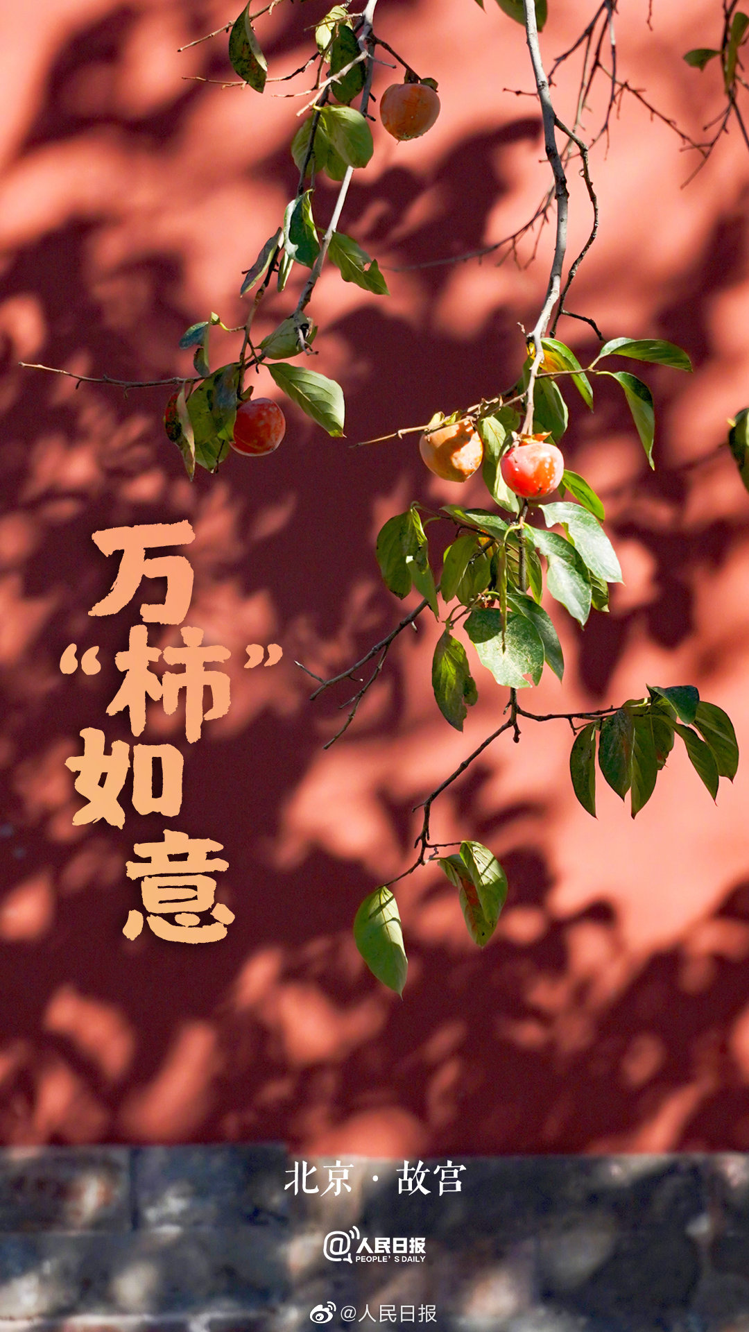 　　担任公安厅副厅长9年之后，2012年12月，杨光明成为西藏自治区政协社会法制外事委员会副主任人选，2013年1月任西藏自治区政协社会法制外事委员会副主任（正厅级）。