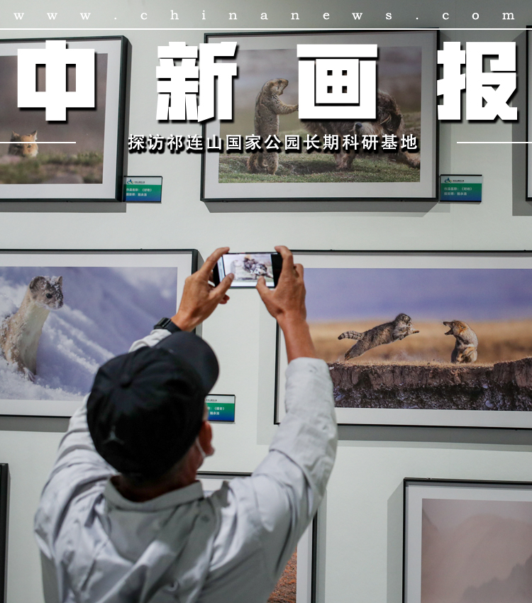 　　毛宁强调，我们敦促美方务必认清台湾问题的极端复杂性和敏感性，切实恪守一个中国原则和中美三个联合公报，将美国领导人多次重申的不支持“台独”、不支持“两个中国”或“一中一台”、不寻求把台湾问题作为工具遏制中国等承诺落到实处，慎之又慎处理涉台问题，不以任何形式虚化掏空一个中国原则，不向“台独”分裂势力发出任何错误信号。