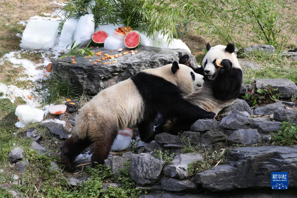 　　“煤炭开采前都是要进行瓦斯检测的，发现瓦斯气体会进行上下两排钻孔排气，然后才能进行接下来的挖煤、运煤操作，这次的事故是发生在掘进机退出的时候，可能碰到了存有瓦斯气体的地方，造成了煤与瓦斯突出事故。” 记平说。