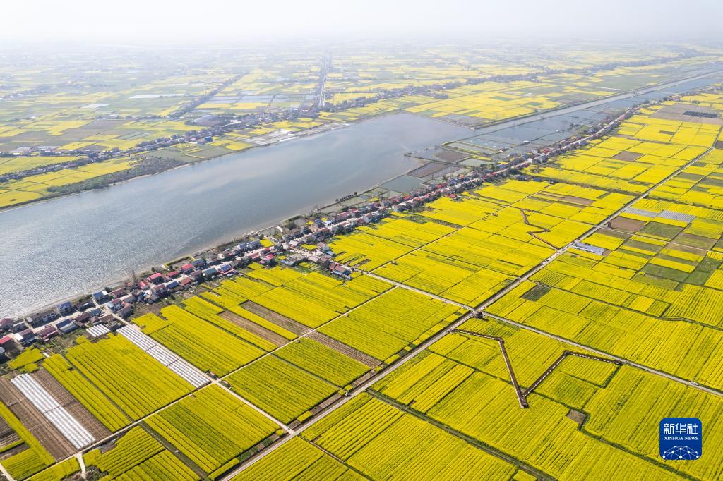<span>纪委通报显示,孙力军从未真正树立理想信念,</span><span><strong>背弃“两个维护”,毫无“四个意识”</strong></span><span>,政治野心极度膨胀,政治品质极为恶劣,权力观、政绩观极度扭曲,妄议党中央大政方针,制造散布政治谣言,</span><span><strong>阳奉阴违,欺上瞒下</strong></span><span>,捞取政治资本。</span>