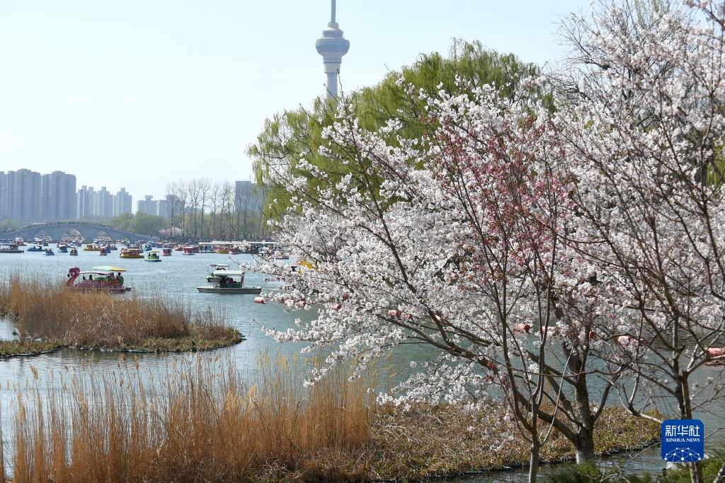 　　<span>二、坚决打击违规“黑竞赛”。</span>“大师赛（dss）”“希望杯（xwb）”“华杯赛（hbs）”等均属违规举办的“黑竞赛”。所有竞赛结果均被禁止作为中小学生招生入学依据和考试加分项目。不法分子散布“竞赛获奖，助力升学”谣言、贩卖焦虑、非法敛财，属严重违法违规行为，教育部门将会同有关部门严厉打击。